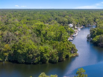 Serene setting in the heart of the Nature Coast of Florida!  5 - photo 34
