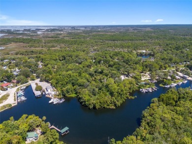 Serene setting in the heart of the Nature Coast of Florida!  5 - photo 35