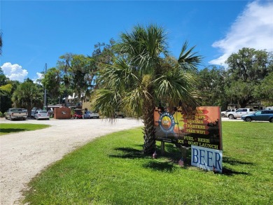 Serene setting in the heart of the Nature Coast of Florida!  5 - photo 36
