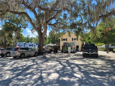 Serene setting in the heart of the Nature Coast of Florida!  5 - photo 37
