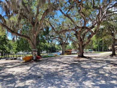 Serene setting in the heart of the Nature Coast of Florida!  5 - photo 38