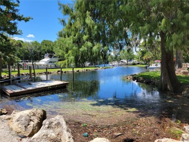 Serene setting in the heart of the Nature Coast of Florida!  5 - photo 39