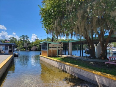 Serene setting in the heart of the Nature Coast of Florida!  5 - photo 41