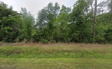 Owner Financing Available! Discover the perfect spot to build - photo 1