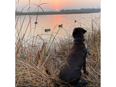 Lake Home For Sale in Yantis, Texas