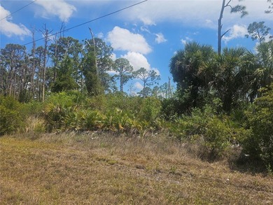 Your ideal Florida homesite awaits! Perfectly positioned just - photo 1
