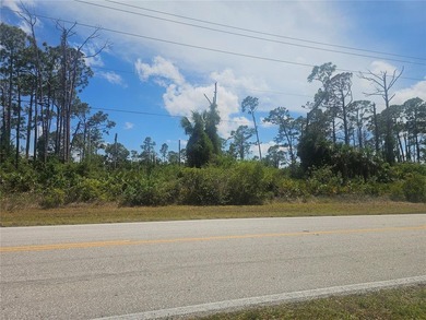 Your ideal Florida homesite awaits! Perfectly positioned just - photo 3
