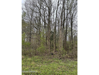 The perfect lot to build a camp or home on overlooking a lake - photo 4