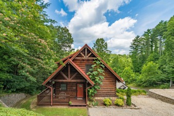 Log cabin on Watauga Lake with 3 stories of unique living.  Too - Lake Home For Sale in Butler, Tennessee