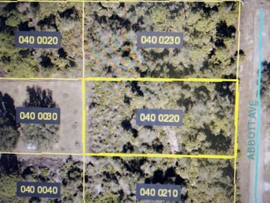 Lehigh Acres Area Lot For Sale in Alva Florida