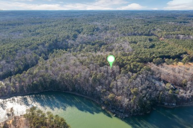Smith Lake (Western Side) Located on a quiet channel, this - photo 4
