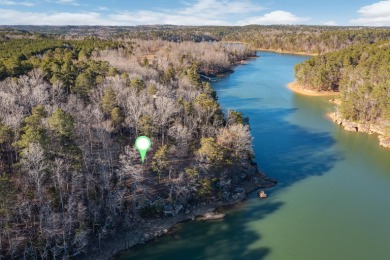 Smith Lake (Western Side) Located on a quiet channel, this - photo 5
