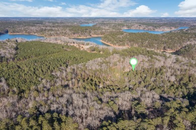 Smith Lake (Western Side) Located on a quiet channel, this - photo 6