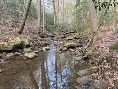 (private lake, pond, creek) Acreage For Sale in Graysville Tennessee
