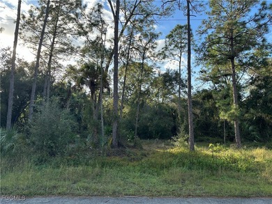 Lehigh Acres Area Lot For Sale in Lehigh Acres Florida