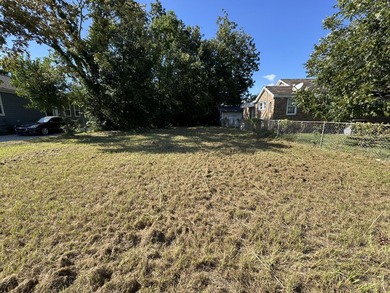 Excellent opportunity to own land in the growing Charleston - photo 3