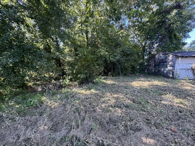 Excellent opportunity to own land in the growing Charleston - photo 4