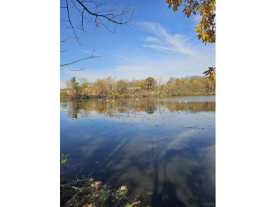 (private lake, pond, creek) Acreage For Sale in Tipton Michigan