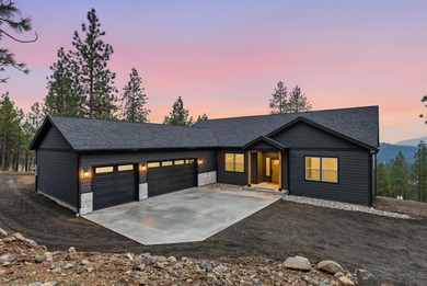 Lake Home For Sale in Nine Mile Falls, Washington