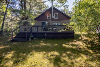 Hightower Lake Home For Sale in Hesperia Michigan