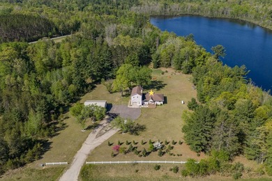 Stunning home with lake frontage on Lake McCall! This house - photo 8