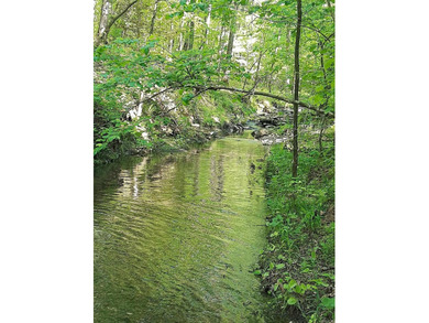 Lake Ouachita Acreage For Sale in Mount Ida Arkansas
