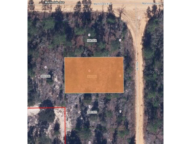 Chipco Lake Lot For Sale in Interlachen Florida