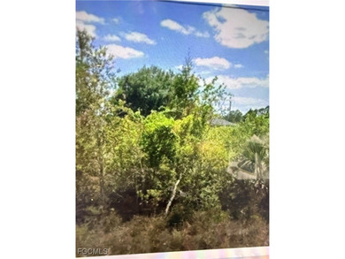 Lehigh Acres Area Lot For Sale in Lehigh Acres Florida