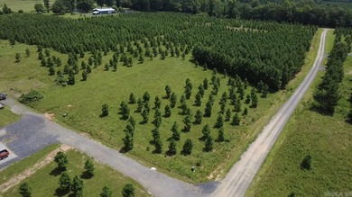 Lake Wilhelmena  Acreage For Sale in Mena Arkansas