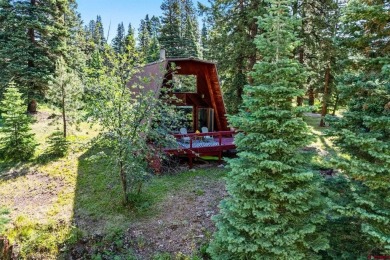 Electra Lake Home Active Under Contract in Durango Colorado