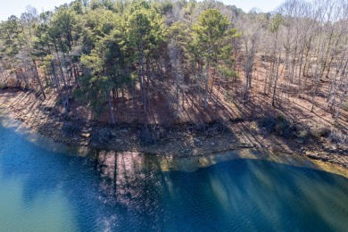 Lewis Smith Lake Lot For Sale in Crane Hill Alabama