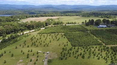 Build your dream home on this beautiful 3.03-acre property - photo 3