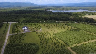 Build your dream home on this beautiful 3.03-acre property - photo 4