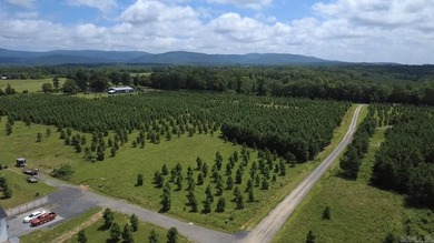 Build your dream home on this beautiful 3.03-acre property - photo 10