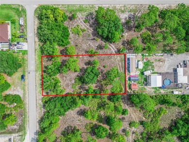 Lehigh Acres Area Lot For Sale in Lehigh Acres Florida