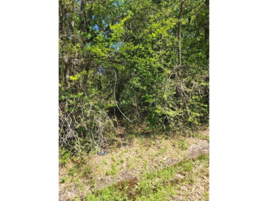 Cedar Creek Lake Lot For Sale in Payne Springs Texas