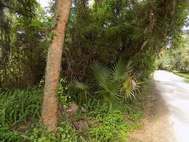 This prime .70 acre parcel is in an established neighborhood - photo 2
