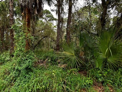 This prime .70 acre parcel is in an established neighborhood - photo 3
