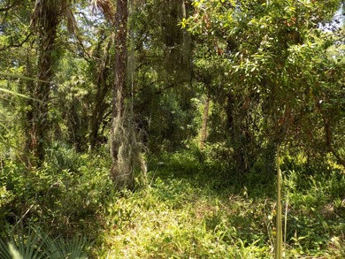 This prime .70 acre parcel is in an established neighborhood - photo 6