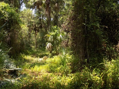 This prime .70 acre parcel is in an established neighborhood - photo 7