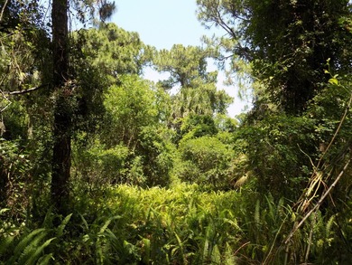 This prime .70 acre parcel is in an established neighborhood - photo 8