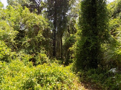 This prime .70 acre parcel is in an established neighborhood - photo 9
