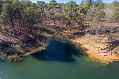 Lewis Smith Lake Lot For Sale in Crane Hill Alabama