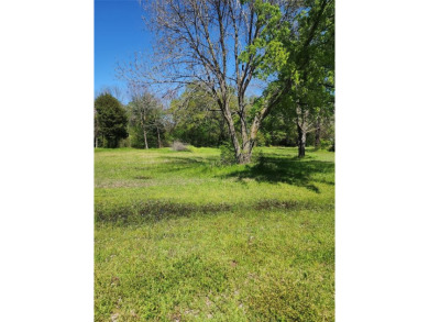 Cedar Creek Lake Lot For Sale in Payne Springs Texas