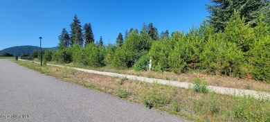 Spirit Lake Lot For Sale in Spirit Lake Idaho
