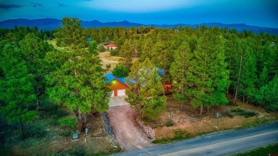 Lake Home For Sale in Pagosa Springs, Colorado