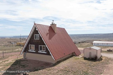 SELLER IS OFFERING $25,000 FOR ANY RENOVATIONS AND OR CLOSING - photo 4