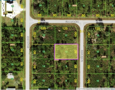 Port Charlotte Waterway Area Lot For Sale in Port Charlotte Florida