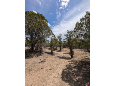 Navajo Reservoir Lot For Sale in Pagosa Springs Colorado