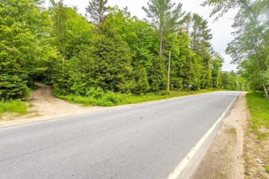 Lake Acreage For Sale in Bethel, Maine